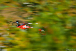 2025 Masaryk Racing Days 51